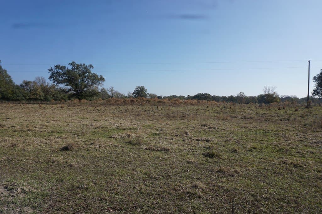 11.5 acres in Madison County - photo 6