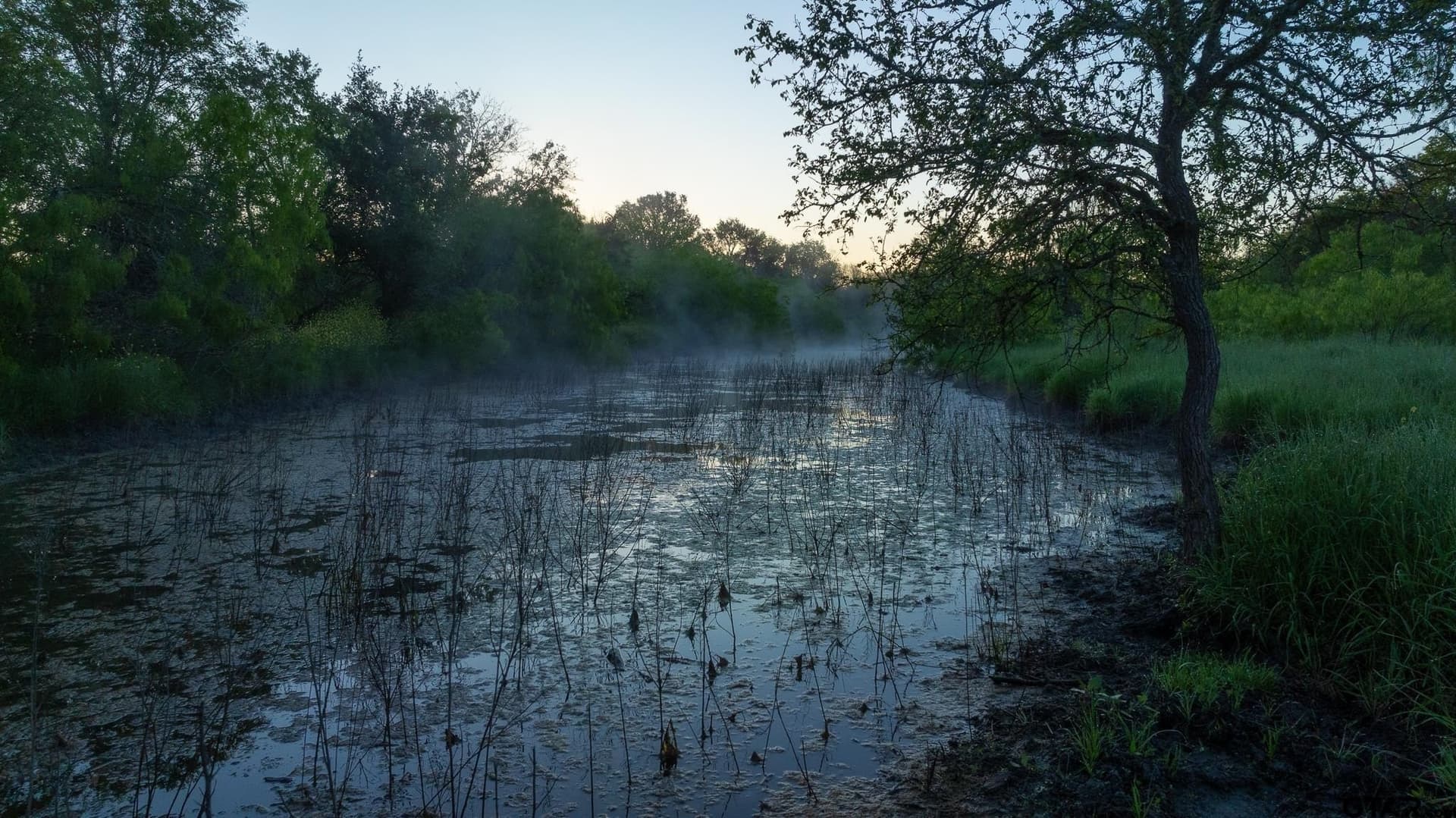 355 acres in Caldwell County - photo 17