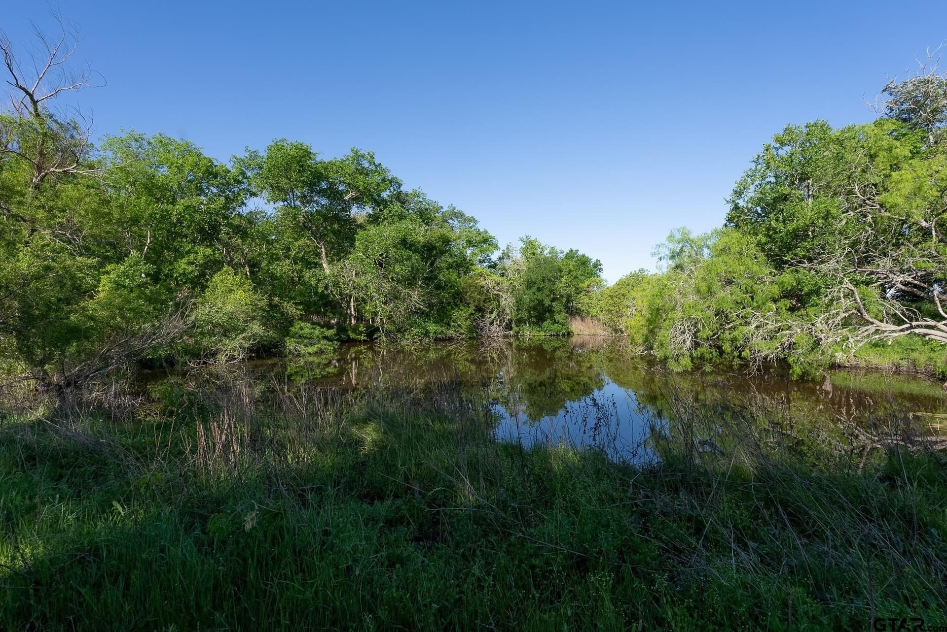 355 acres in Caldwell County - photo 30