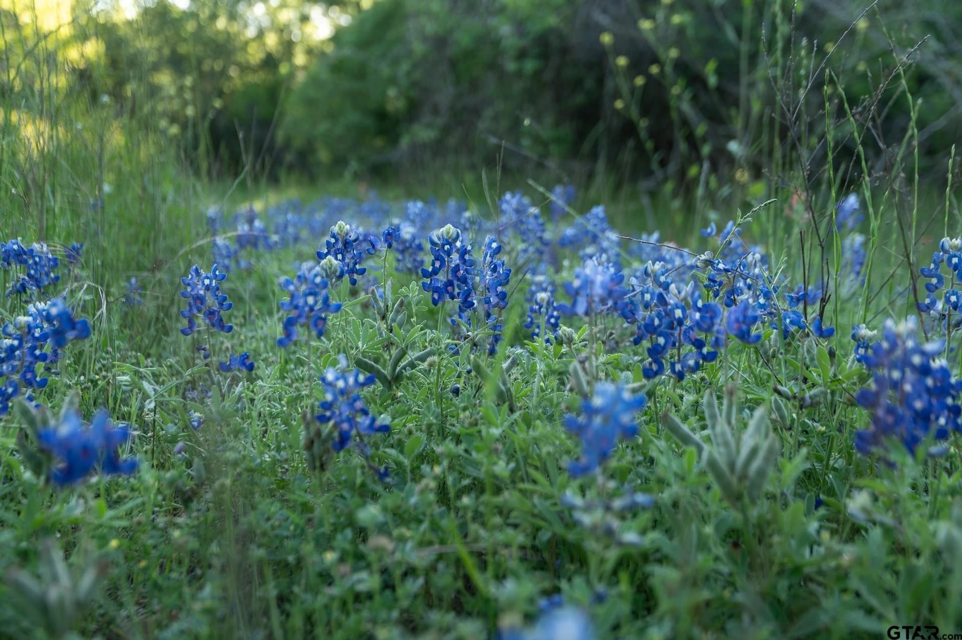 355 acres in Caldwell County - photo 22