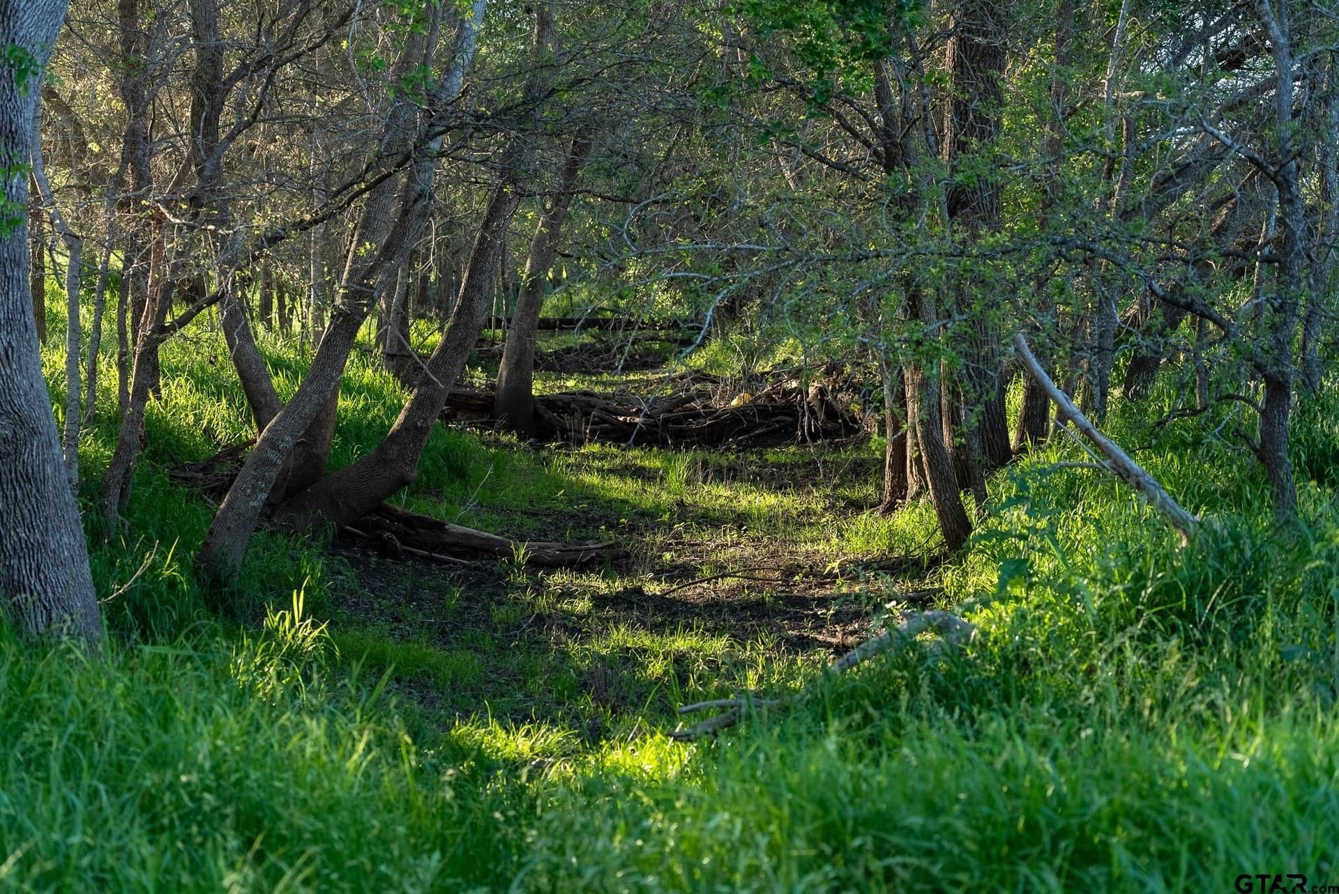 355 acres in Caldwell County - photo 9