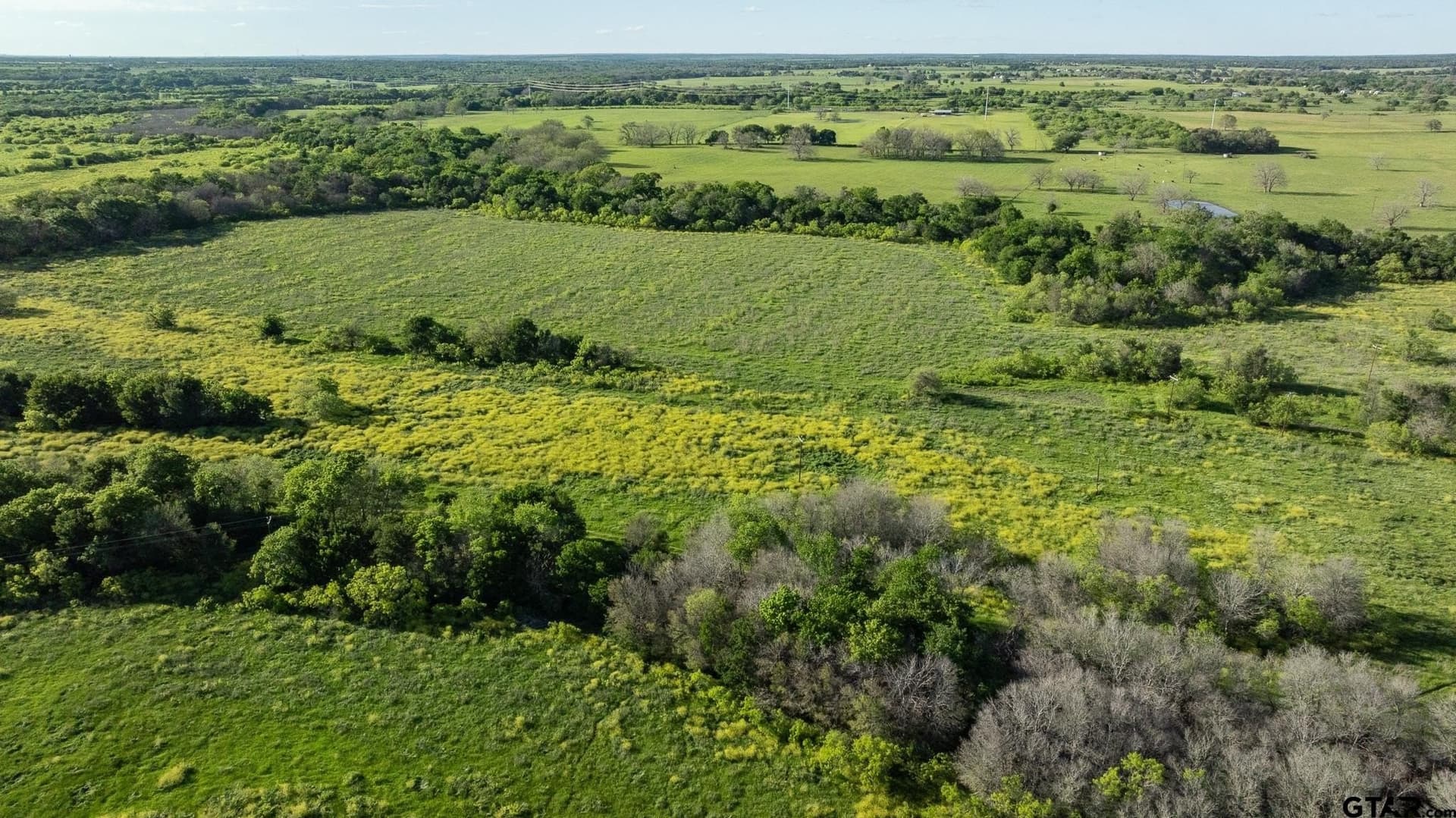355 acres in Caldwell County - photo 8