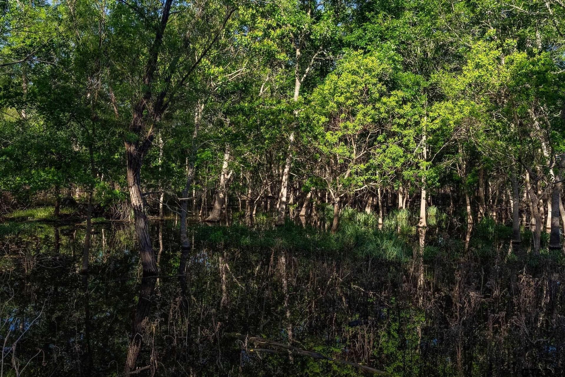 355 acres in Caldwell County - photo 29