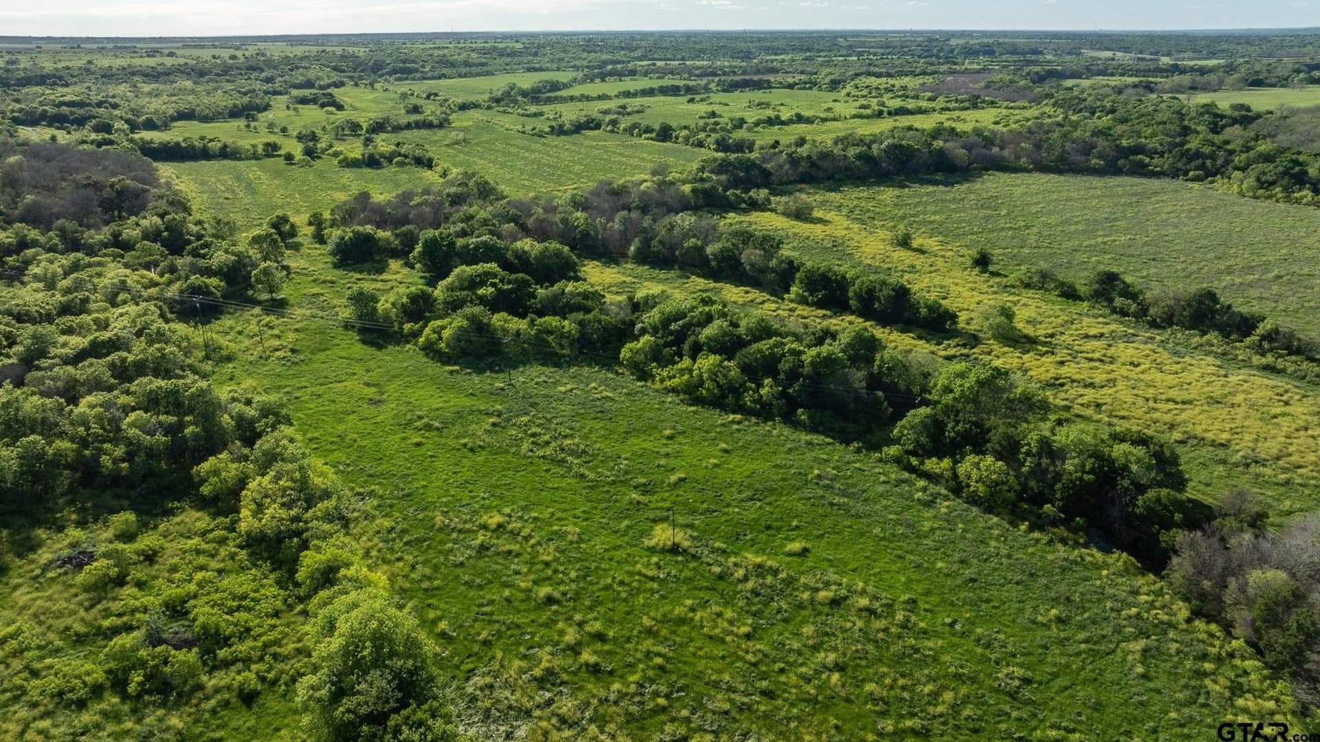 355 acres in Caldwell County - photo 6