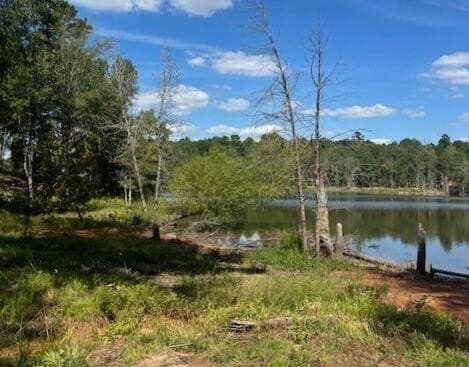 0.52 acres in Smith County - photo 6