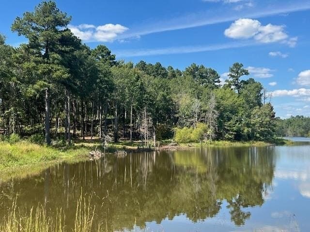 0.52 acres in Smith County - photo 3