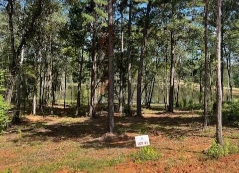 0.52 acres in Smith County - photo 2