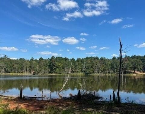 0.52 acres in Smith County - photo 4