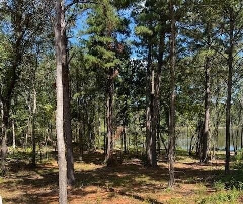 0.52 acres in Smith County - photo 5