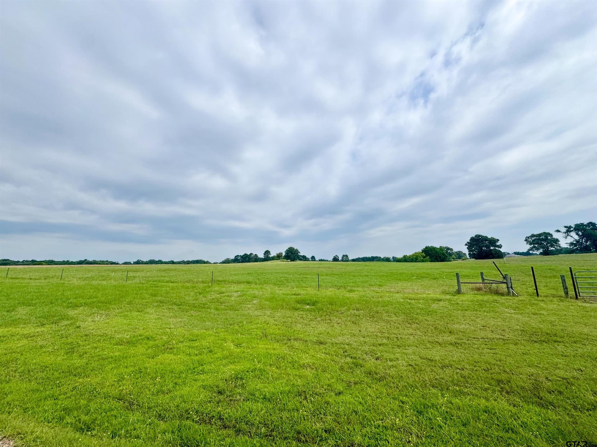 Lot 62 CR 2320