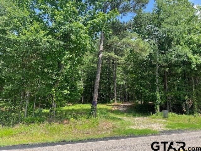 16.12 acres in Smith County - photo 9