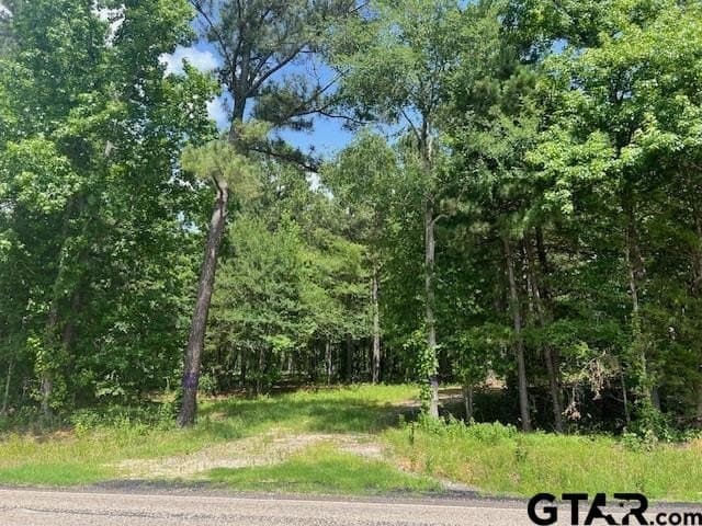 16.12 acres in Smith County - photo 8