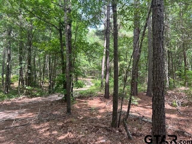 16.12 acres in Smith County - photo 14