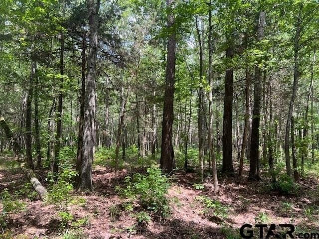 16.12 acres in Smith County - photo 13
