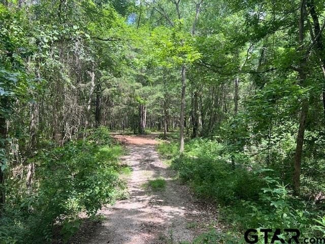 16.12 acres in Smith County - photo 11