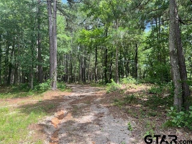 16.12 acres in Smith County - photo 10