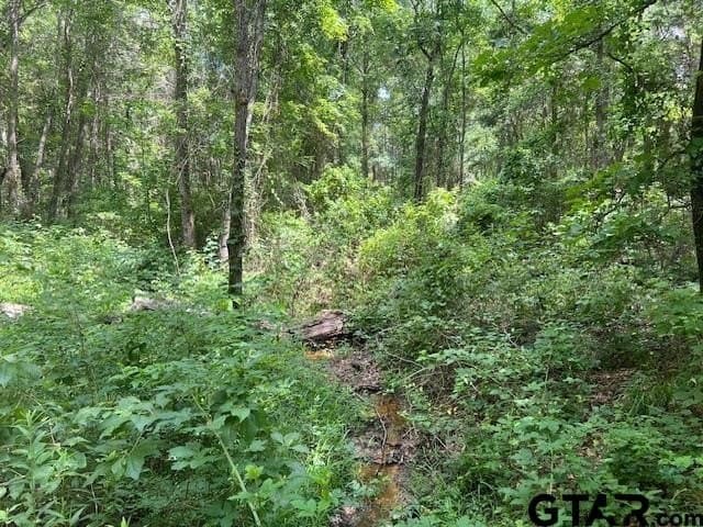 16.12 acres in Smith County - photo 15