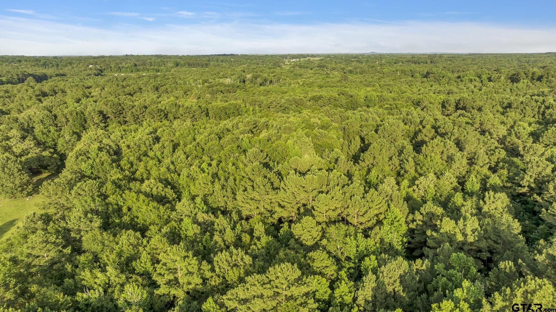 16.12 acres in Smith County - photo 5
