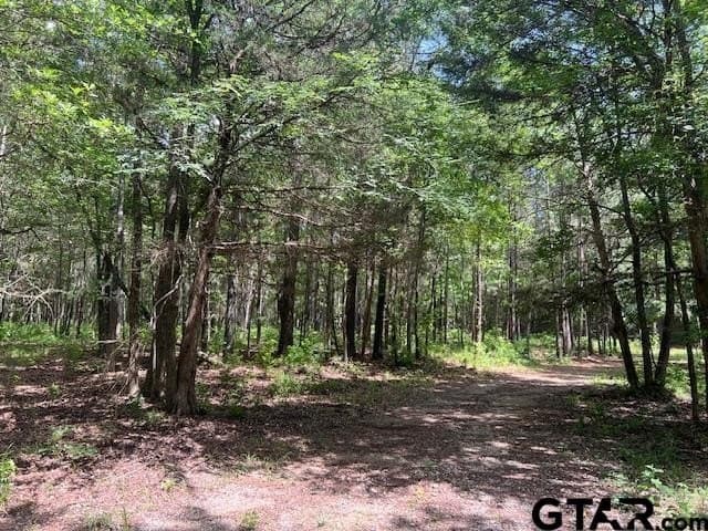16.12 acres in Smith County - photo 12