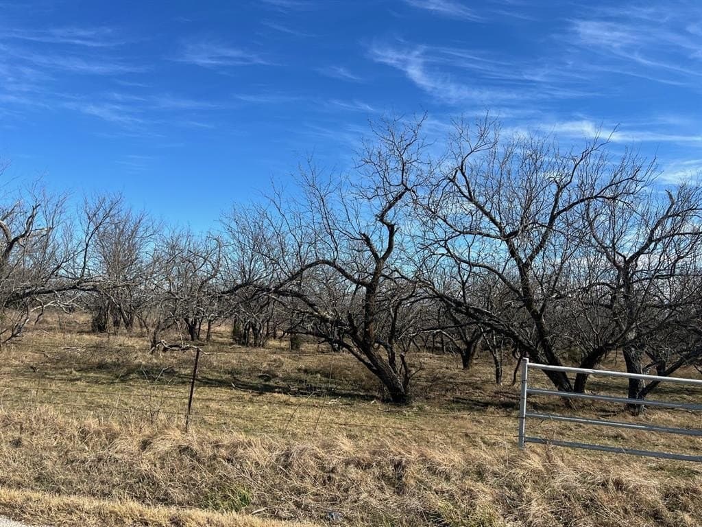 30.32 acres in Grayson County - photo 15