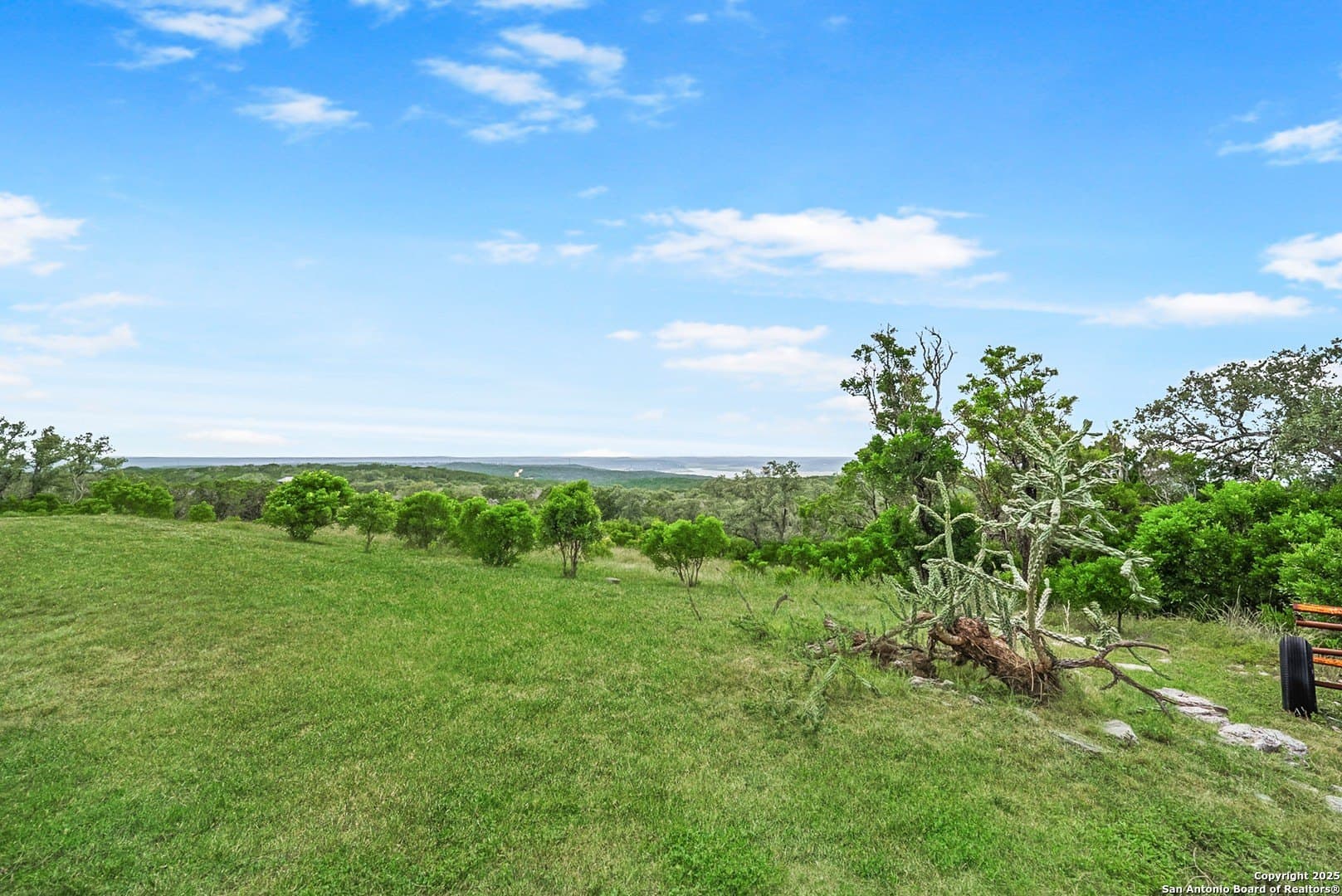 46.09 acres in Medina County - photo 31