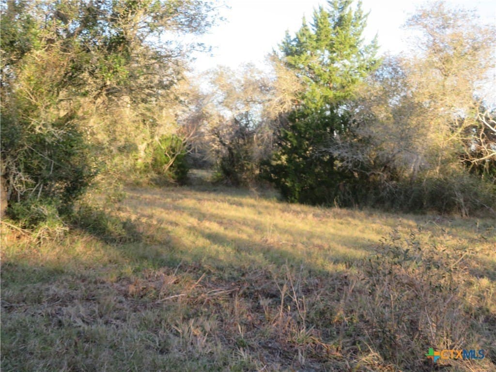 25 acres in Jackson County - photo 15