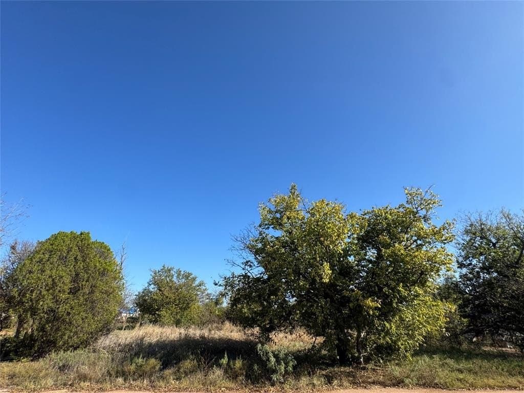 0.3 acres in Taylor County - photo 3