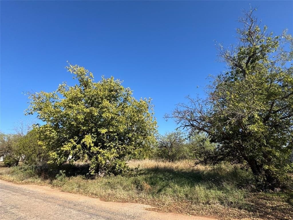 0.3 acres in Taylor County - photo 2