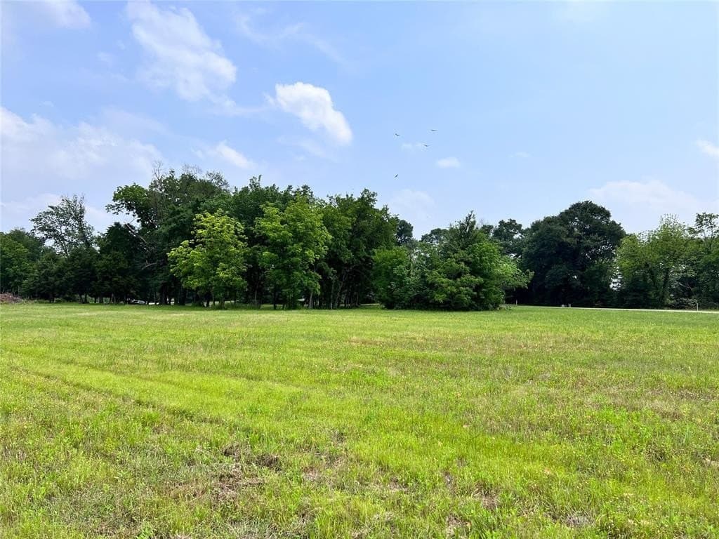 1.03 acres in Navarro County - photo 23