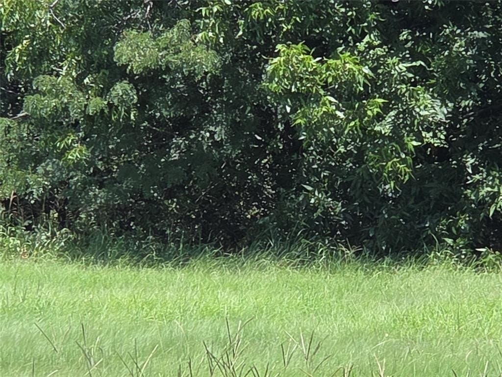 1.03 acres in Navarro County - photo 9
