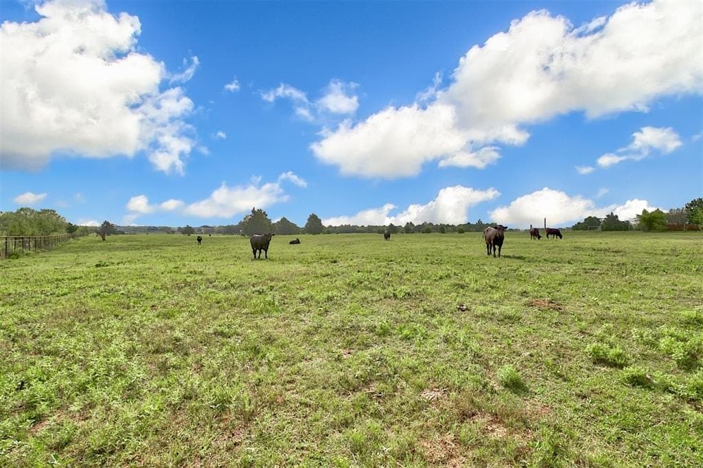 24.3 acres in Kaufman County - photo 27