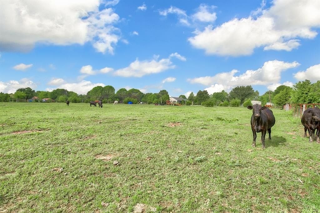 24.3 acres in Kaufman County - photo 26