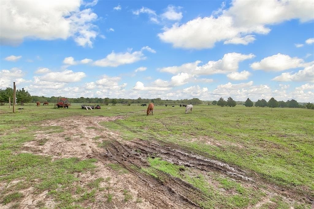 24.3 acres in Kaufman County - photo 28