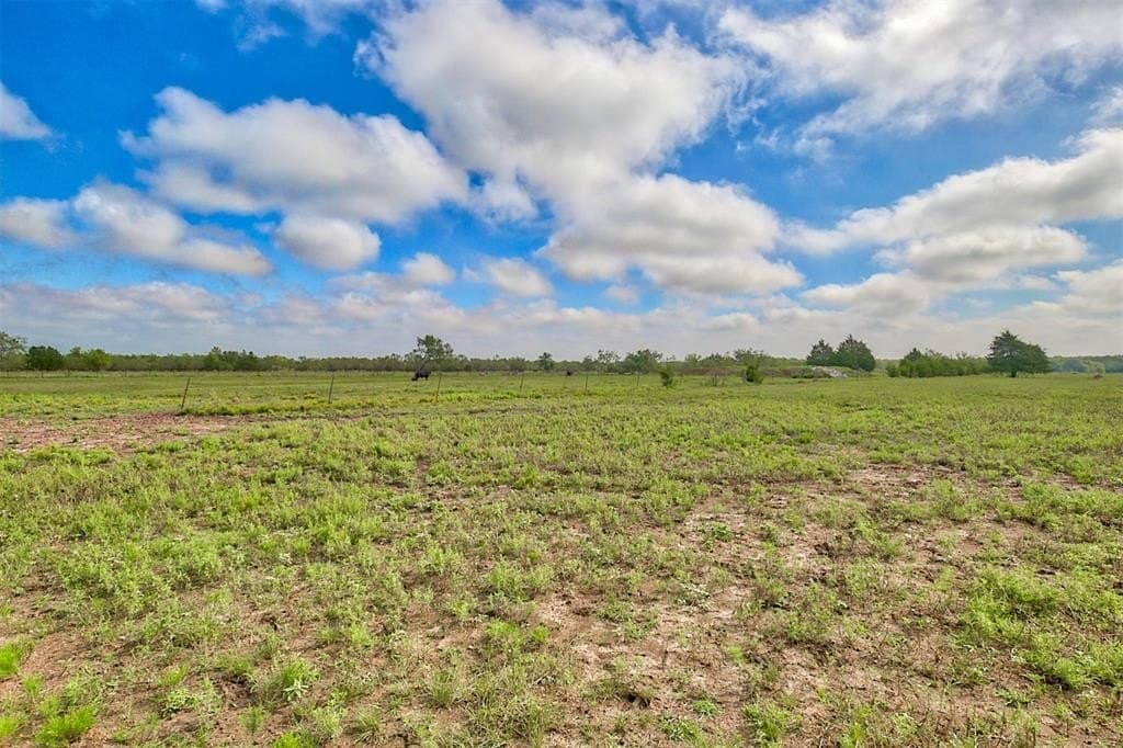 24.3 acres in Kaufman County - photo 6