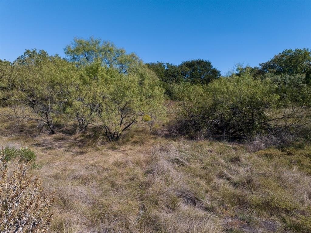 10.01 acres in Wise County - photo 19
