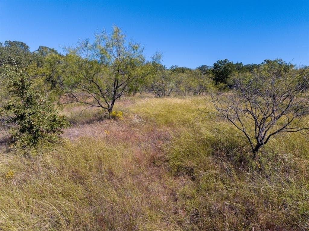 10.01 acres in Wise County - photo 17