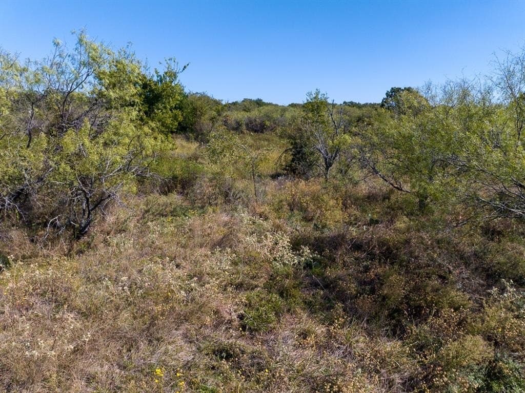 10.01 acres in Wise County - photo 12