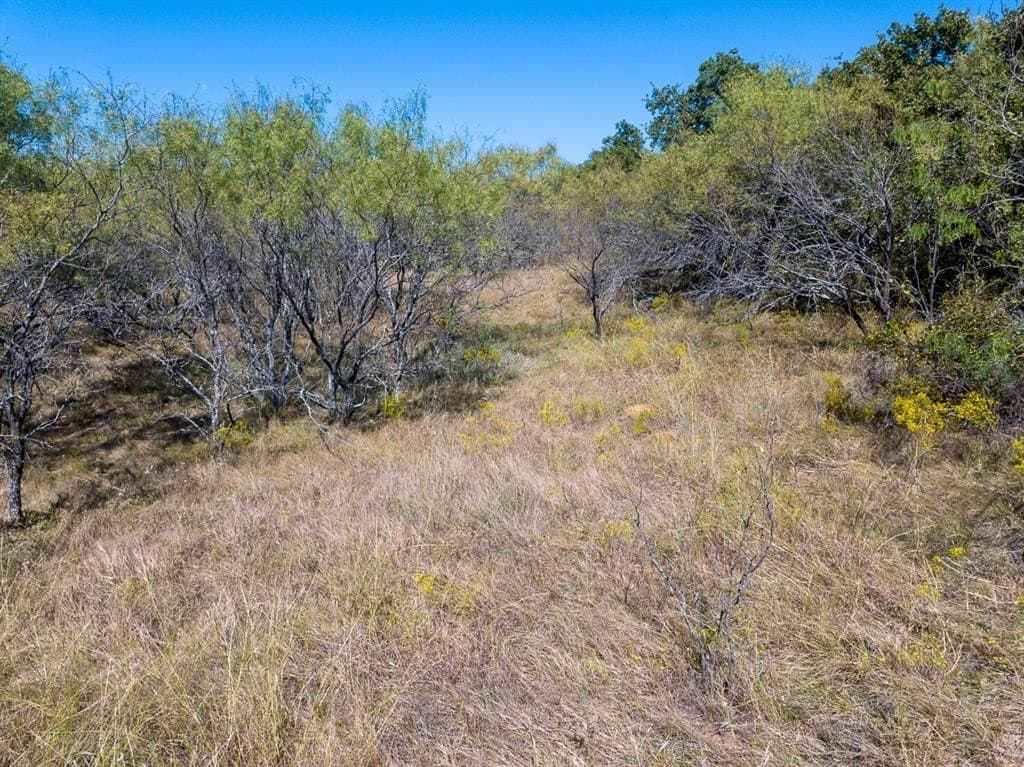 10.01 acres in Wise County - photo 18