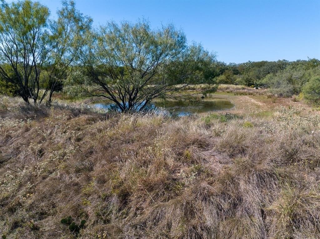 10.01 acres in Wise County - photo 14