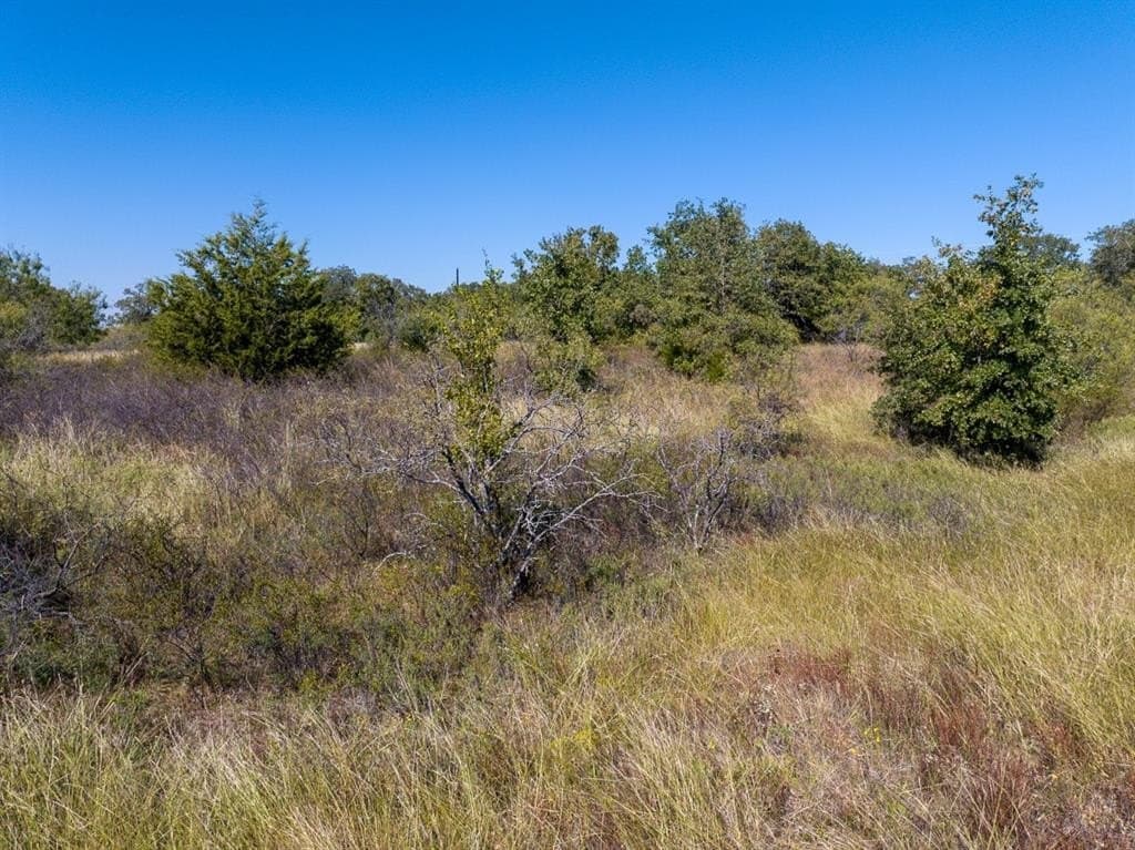 10.01 acres in Wise County - photo 16