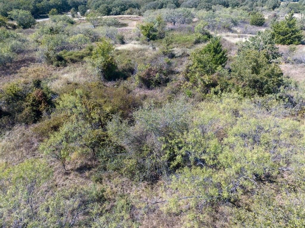 10.01 acres in Wise County - photo 7