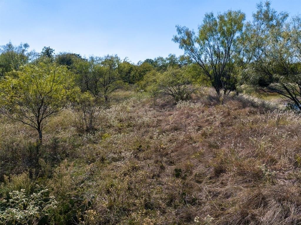 10.01 acres in Wise County - photo 13