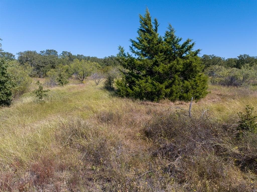 10.01 acres in Wise County - photo 15