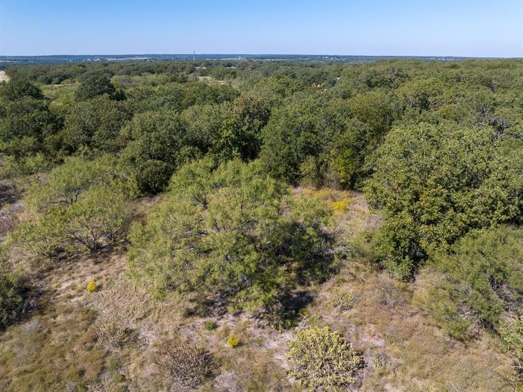 10.01 acres in Wise County - photo 5
