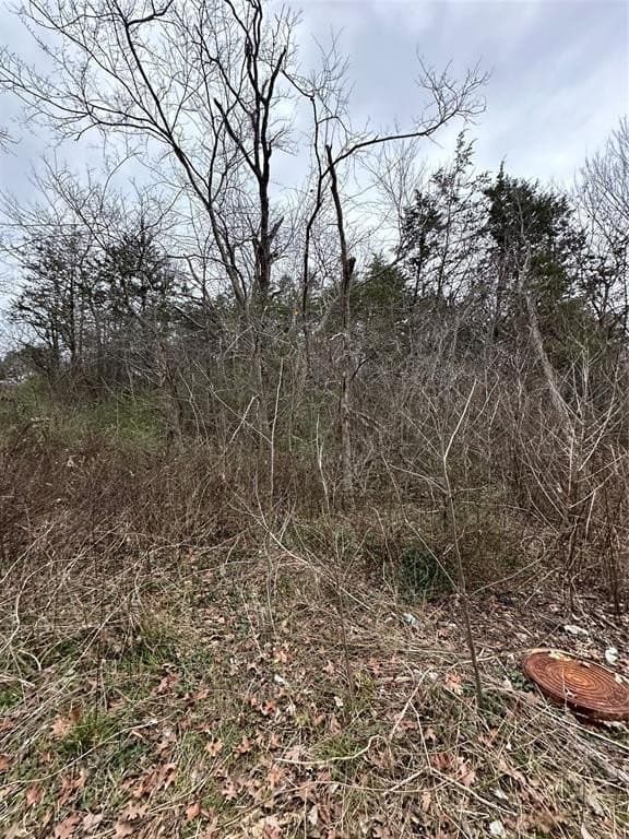 0.17 acres in Grayson County - photo 3