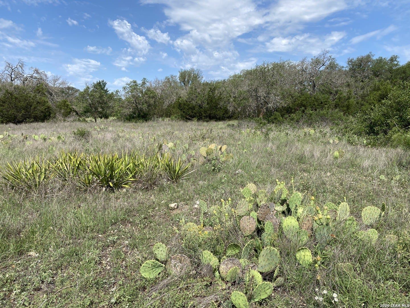 10.57 acres in Burnet County - photo 51