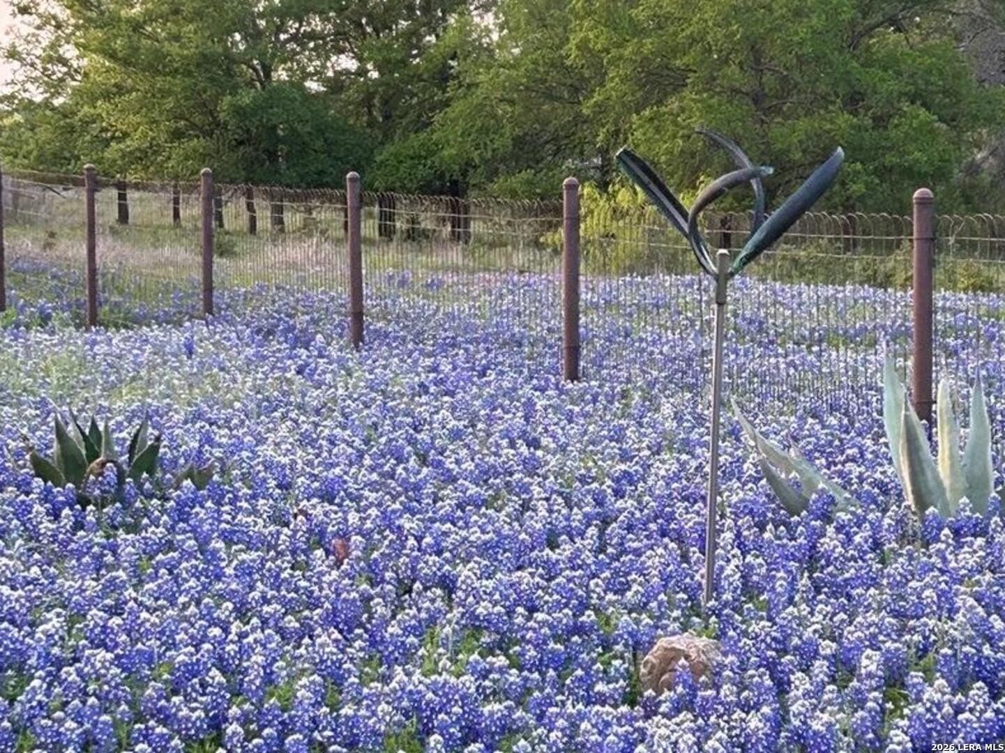 10.57 acres in Burnet County - photo 56