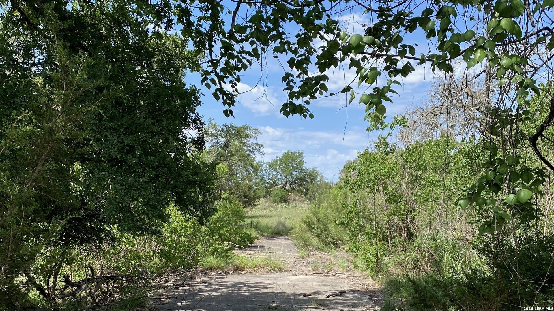 10.57 acres in Burnet County - photo 53