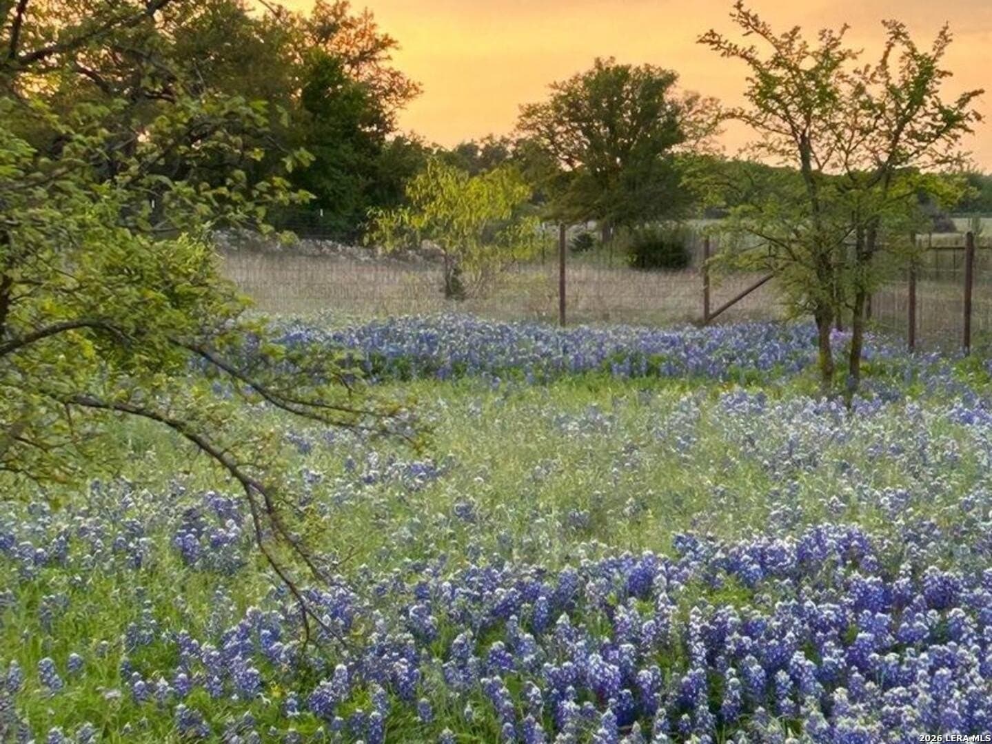 10.57 acres in Burnet County - photo 57