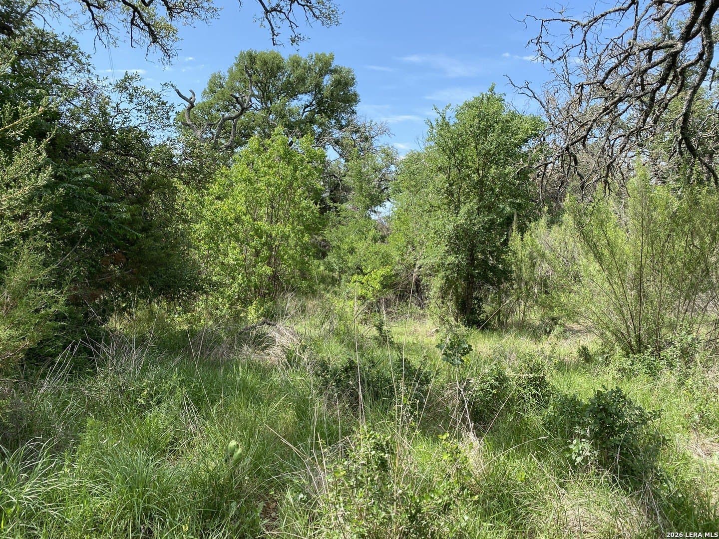 10.57 acres in Burnet County - photo 48